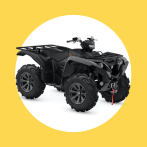 Grizzly kodiak 660/700