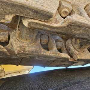 367460163 798718055587370 848761451618134094 n