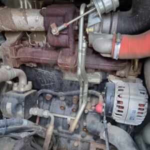 367463431 798708848921624 1488323937634781541 n