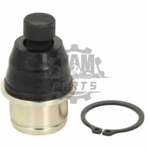 Pivot superior Can-am Renegade