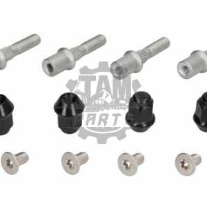 Set piulita si surub Can-am Renegade