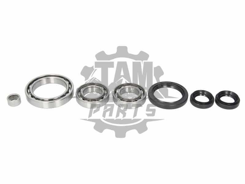 Set de rulment diferential si garnitura Yamaha Grizzly